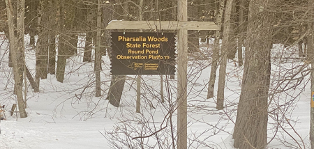 Pharsalia Woods State Forest adds 190 acres for wetland preservation and outdoor adventures